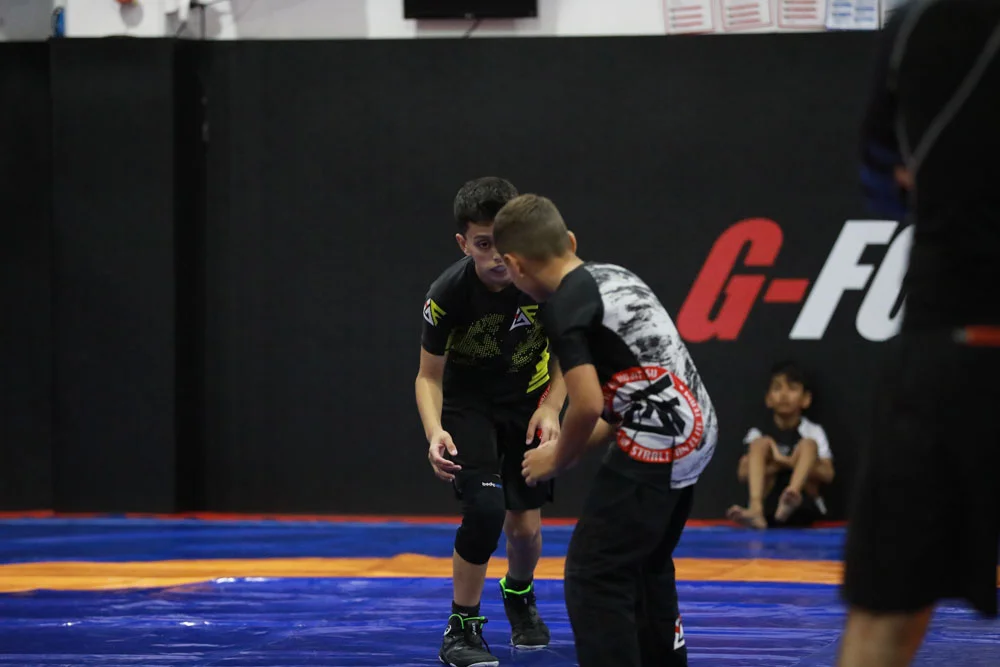 34 - wrestling- (1)
